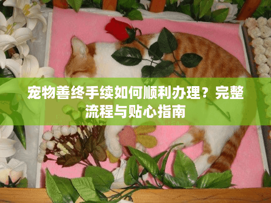 宠物善终手续如何顺利办理？完整流程与贴心指南