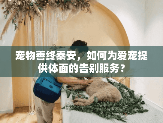 宠物善终泰安，如何为爱宠提供体面的告别服务？