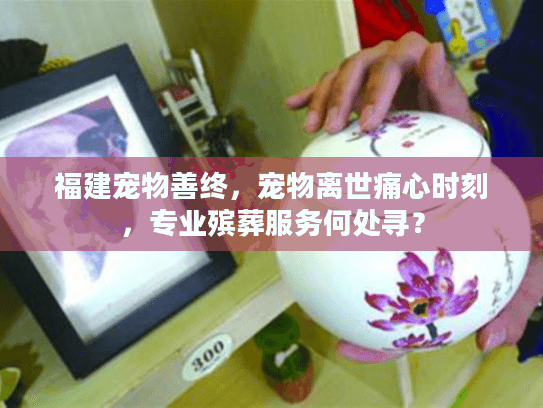 福建宠物善终，宠物离世痛心时刻，专业殡葬服务何处寻？
