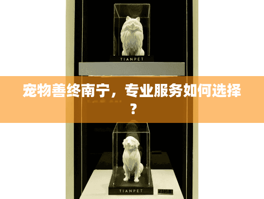 宠物善终南宁，专业服务如何选择？