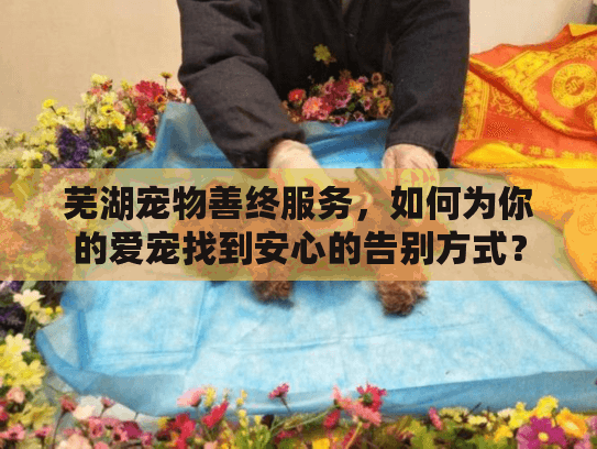 芜湖宠物善终服务，如何为你的爱宠找到安心的告别方式？
