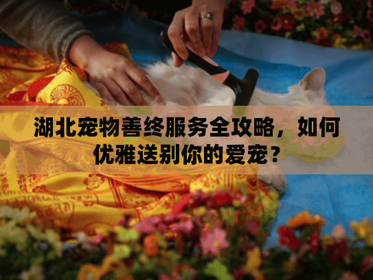 湖北宠物善终服务全攻略，如何优雅送别你的爱宠？