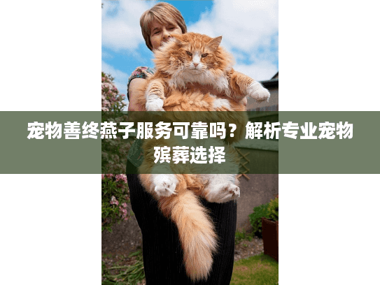 宠物善终燕子服务可靠吗？解析专业宠物殡葬选择