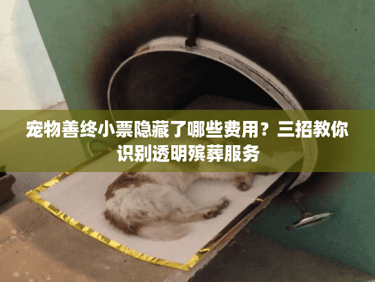 宠物善终小票隐藏了哪些费用？三招教你识别透明殡葬服务