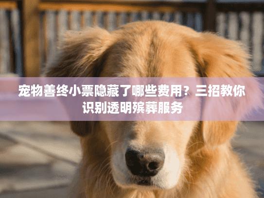 宠物善终小票隐藏了哪些费用？三招教你识别透明殡葬服务