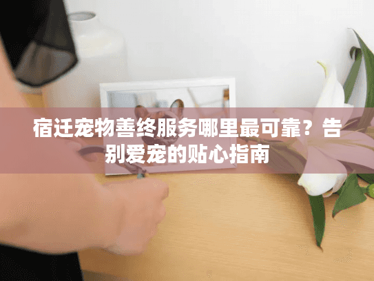 宿迁宠物善终服务哪里最可靠？告别爱宠的贴心指南