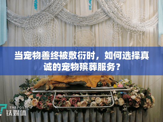 当宠物善终被敷衍时，如何选择真诚的宠物殡葬服务？