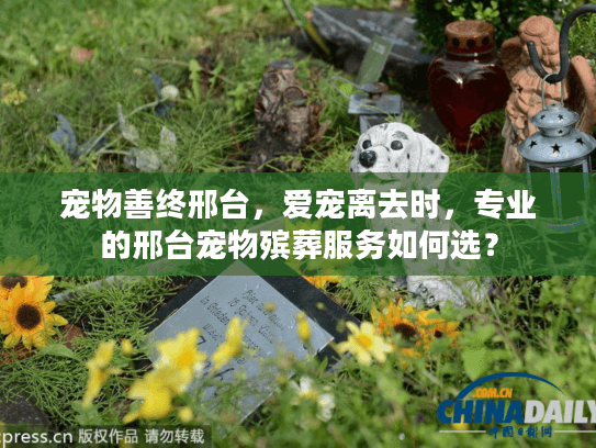 宠物善终邢台，爱宠离去时，专业的邢台宠物殡葬服务如何选？