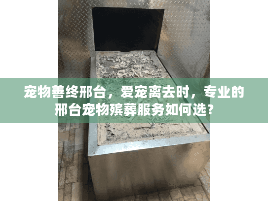 宠物善终邢台，爱宠离去时，专业的邢台宠物殡葬服务如何选？