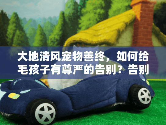 大地清风宠物善终，如何给毛孩子有尊严的告别？告别难题全解析