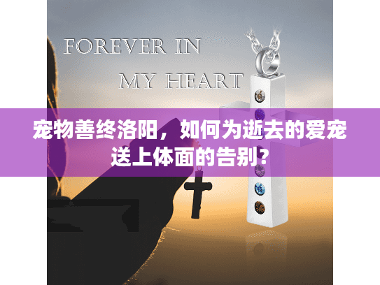 宠物善终洛阳，如何为逝去的爱宠送上体面的告别？