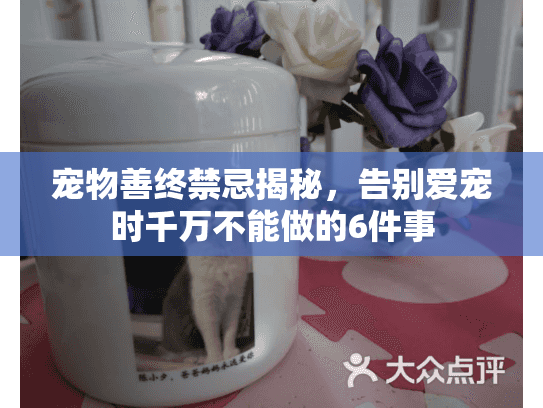 宠物善终禁忌揭秘，告别爱宠时千万不能做的6件事