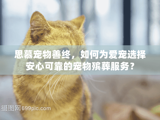 思慕宠物善终，如何为爱宠选择安心可靠的宠物殡葬服务？