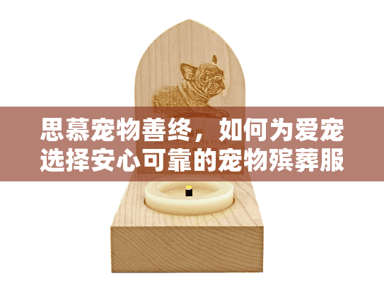 思慕宠物善终，如何为爱宠选择安心可靠的宠物殡葬服务？