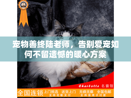 宠物善终陆老师，告别爱宠如何不留遗憾的暖心方案