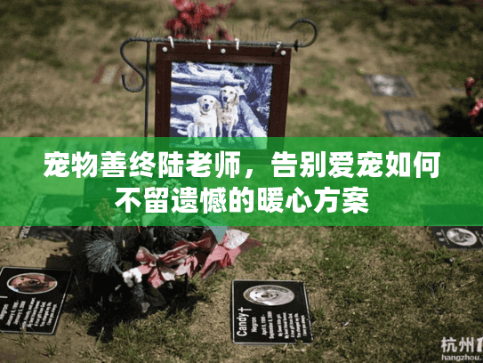 宠物善终陆老师，告别爱宠如何不留遗憾的暖心方案