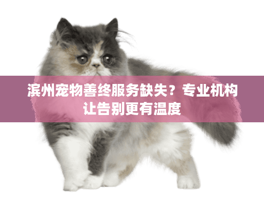 滨州宠物善终服务缺失？专业机构让告别更有温度