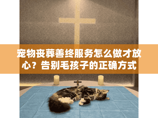 宠物丧葬善终服务怎么做才放心？告别毛孩子的正确方式