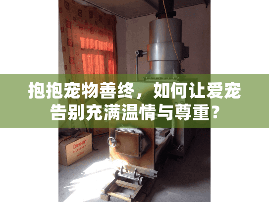 抱抱宠物善终，如何让爱宠告别充满温情与尊重？