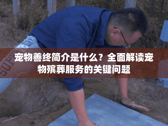 宠物善终简介是什么？全面解读宠物殡葬服务的关键问题