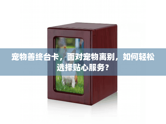 宠物善终台卡，面对宠物离别，如何轻松选择贴心服务？