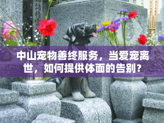 中山宠物善终服务，当爱宠离世，如何提供体面的告别？
