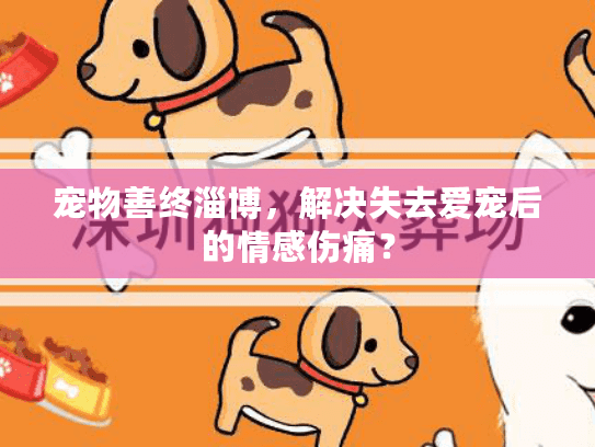 宠物善终淄博，解决失去爱宠后的情感伤痛？