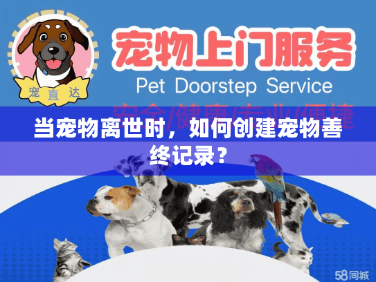 当宠物离世时，如何创建宠物善终记录？