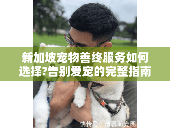 新加坡宠物善终服务如何选择?告别爱宠的完整指南