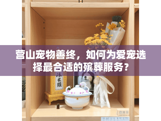 营山宠物善终，如何为爱宠选择最合适的殡葬服务？