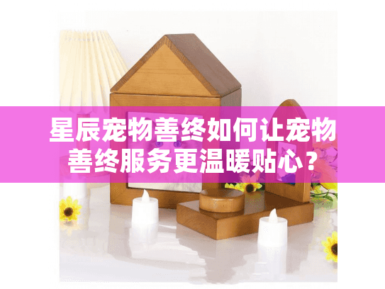 星辰宠物善终如何让宠物善终服务更温暖贴心？