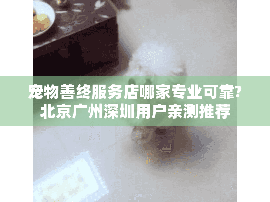宠物善终服务店哪家专业可靠?北京广州深圳用户亲测推荐