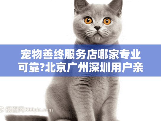 宠物善终服务店哪家专业可靠?北京广州深圳用户亲测推荐