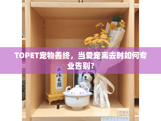TOPET宠物善终，当爱宠离去时如何专业告别？