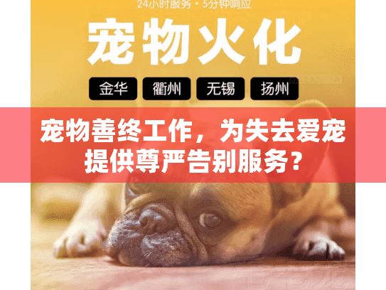宠物善终工作，为失去爱宠提供尊严告别服务？