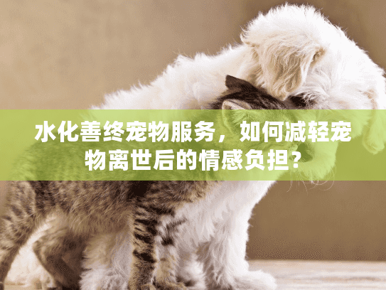 水化善终宠物服务，如何减轻宠物离世后的情感负担？