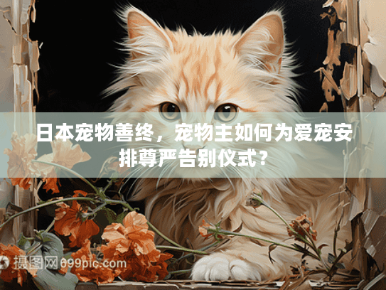 日本宠物善终，宠物主如何为爱宠安排尊严告别仪式？
