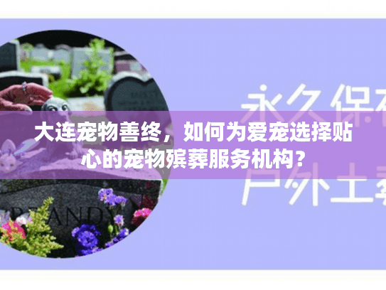 大连宠物善终，如何为爱宠选择贴心的宠物殡葬服务机构？