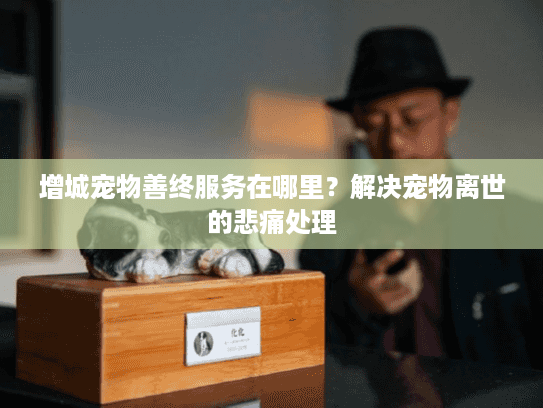 增城宠物善终服务在哪里？解决宠物离世的悲痛处理