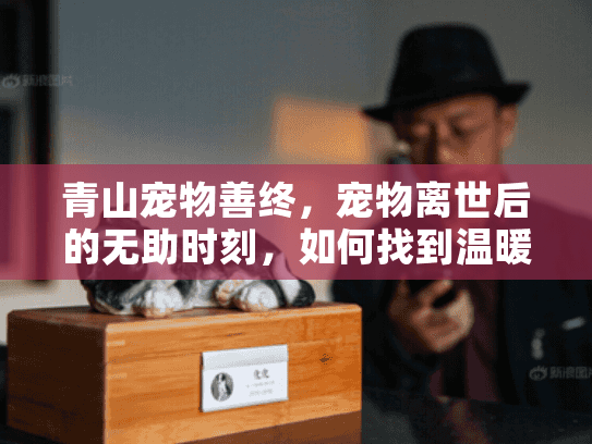 青山宠物善终，宠物离世后的无助时刻，如何找到温暖告别方案？
