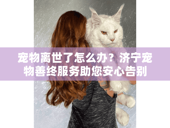 宠物离世了怎么办？济宁宠物善终服务助您安心告别