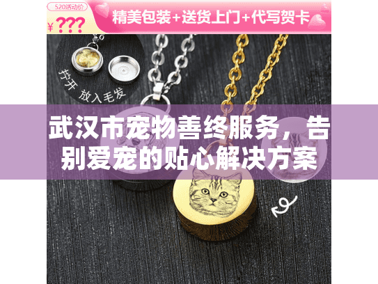 武汉市宠物善终服务，告别爱宠的贴心解决方案