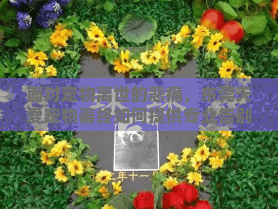 面对宠物离世的悲痛，东莞天爱宠物善终如何提供专业告别服务？