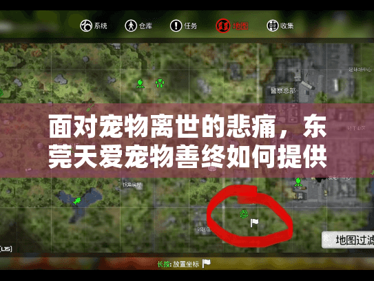 面对宠物离世的悲痛，东莞天爱宠物善终如何提供专业告别服务？