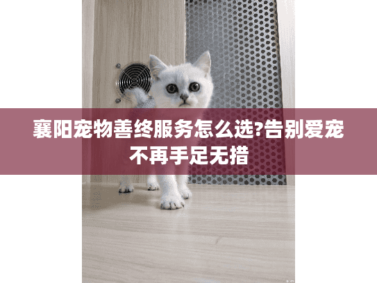 襄阳宠物善终服务怎么选?告别爱宠不再手足无措