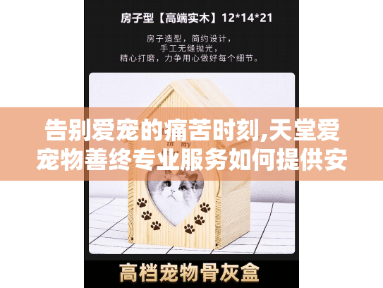 告别爱宠的痛苦时刻,天堂爱宠物善终专业服务如何提供安心慰藉?