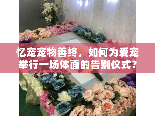 忆宠宠物善终，如何为爱宠举行一场体面的告别仪式？