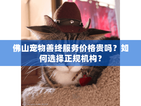 佛山宠物善终服务价格贵吗？如何选择正规机构？