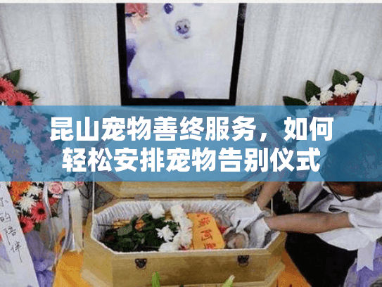 昆山宠物善终服务，如何轻松安排宠物告别仪式