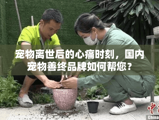 宠物离世后的心痛时刻，国内宠物善终品牌如何帮您？